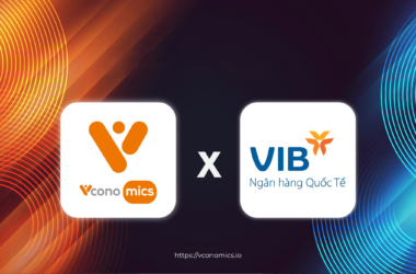Vconomics & VIB partnership